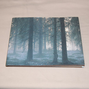 Simo Hämäläinen - Ari Komulainen Ihmisten metsä